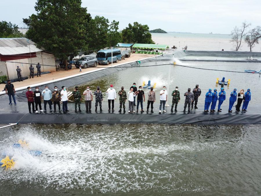 Dukung Ketahanan Pangan dan Resmikan Tambak Udang, Lanal Batam Tabur 600.000 Benur Udang